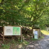 名山300登山　39/300   三嶺（徳島県）