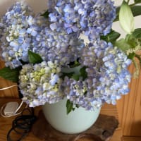 7月8日　お掃除の日