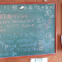20250504ダイビングログ