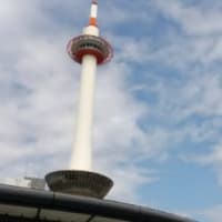 きょと