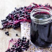 エルダーベリーで腸内環境と代謝を整える新発見