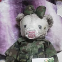 文教堂さんの　株主優待が届きました