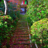 京都、静寂な古都の風？？？      　山口　克治