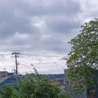 アルツGさん的雑想ノート