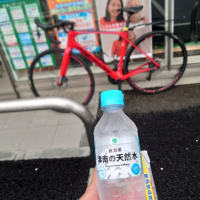 清水公園は、花盛り