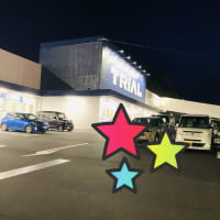 5月が来ました‼️(2025)