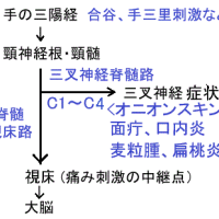麦粒腫への二間の灸と面疔への合谷多壮灸　ver.1.1