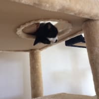 ご縁続きで・・・