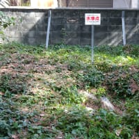 No.2260　三角点巡り・阪神編（前編）