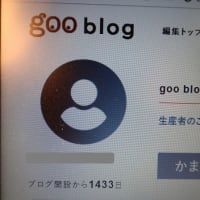 ８年目のブログ、パソコンが壊れそうですが