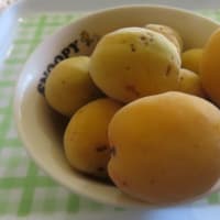 父母が思い出された妹が作った梅ジャム