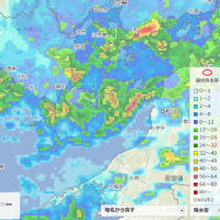 山口県宇部市は「線状降水帯」に入り大雨でした。　晩御飯は町中華シリーズ第3弾台湾肉もやしの素