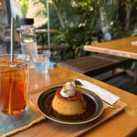 森の妖精達の待つカフェ in カフェピッコロ
