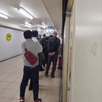 横浜からエジプト観光