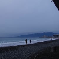 2025/05/29　木　国府津海岸