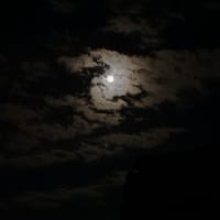 Mr Moonlight