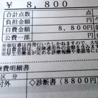 生命保険の診断書