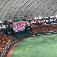 2024/06/07　巨人×オリックス　ちょこっとドラゴンズを