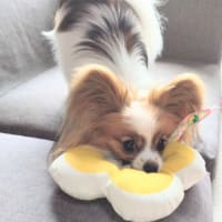 日本人は素晴らしい～