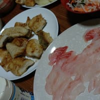魚が終わった