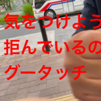 そんなに選挙が怖いのか、参・憲法審が世俗化し自治選挙部長から教えをこい質疑、衆は厚労委など質疑