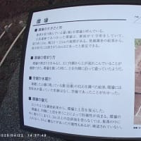 【群馬】みさと芝桜公園　日高遺跡
