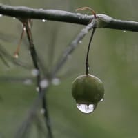 雨滴ー３