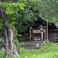 長野2日目　諏訪大社四社巡り