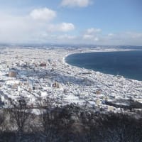函館山からの冬景色１月１２日