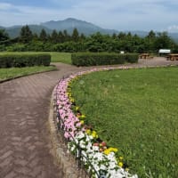 高原ゴルフ⛳️