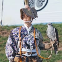 NHK大河ドラマ　べらぼう　徳川家基とエフゴ建水