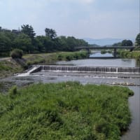 川面の夏の夜