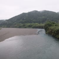 本日の海部川