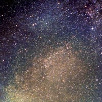 七夕の願い事
