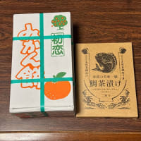 20205.06.30　松山〜岡山〜名古屋〜三重に戻りました