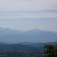 花とともに花立峠・長工新道・枡形山・萱峠①　2025/06/06