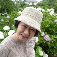 外食&外出　紫陽花見学
