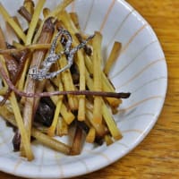 当尾の里を訪ねるー３！・・・山菜を求めて