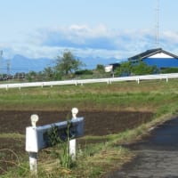 『桐生老談記』あとがき