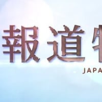 TBS【報道特集2024.3.16】