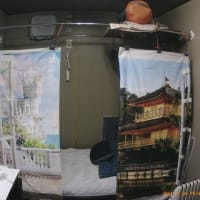 今日は暖かかった・・・
