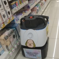 2025.6.19(木)20(金)のお弁当とお掃除ロボットと野菜の収穫