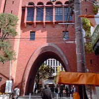 近畿大学に入学し、ブログも再スタートです！