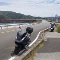 横波黒潮ラインへ