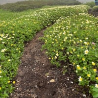 6.28秋駒〜長〜い一日〜