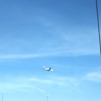 宇宙に電話したい人に さようなら いままで魚をありがとう ダグラス アダムス著 星のひとかけ