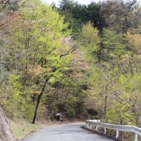 奥武蔵の展望台、丸山へ（2020年4月23日）