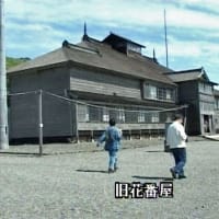 海鳥のサンクチュアリ　天売島と森林浴を楽しむメルヘンの焼尻島　７１回目　羽幌