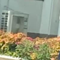 頑張ってます🙆‍♀️