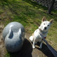 ごぶさたしております。引っ越しました。